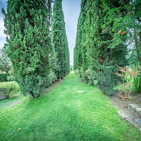 Borgo Spedaletto 5 - Dolcevita * Grassina