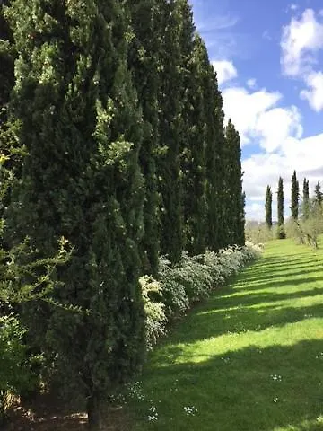 Apartamento Borgo Spedaletto 5 - Dolcevita *