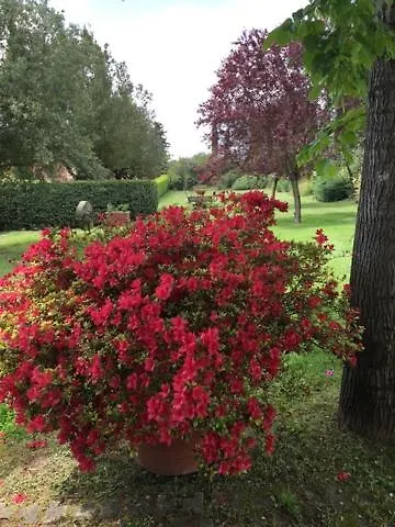 Apartamento Borgo Spedaletto 5 - Dolcevita *